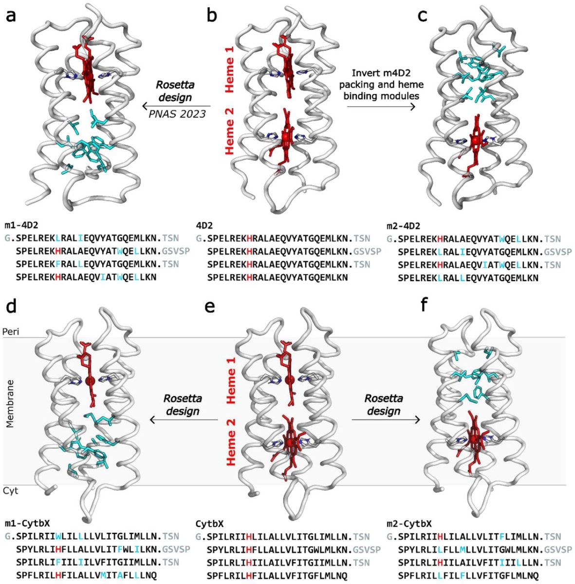 Single-heme de novo proteins enable the dissection of redox ...